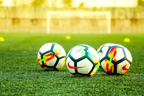 FIFA买球盘口公司官网平台介绍与信誉评估